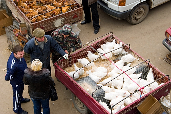 На Привокзальной  будут продавать животных